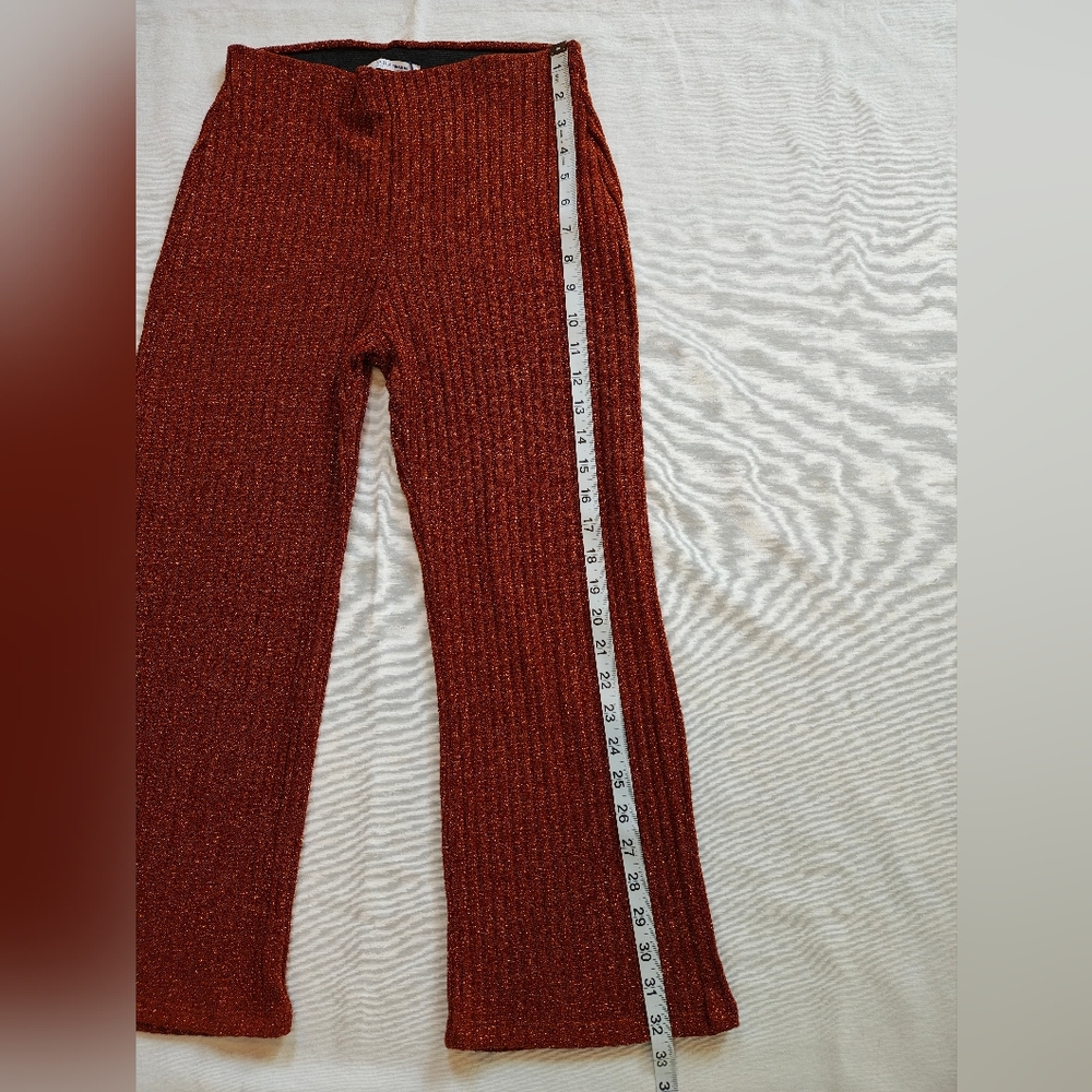 Zara Rust Ribbed Metallic Pants - Picture 5 of 6